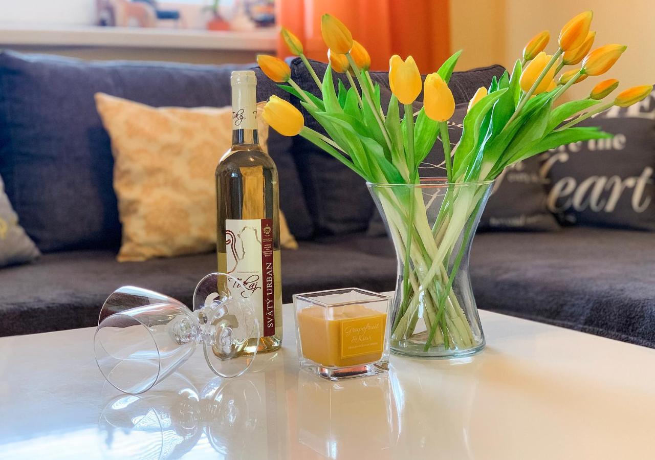 2-Izbovy Apartman Mlynica S Balkonom מראה חיצוני תמונה