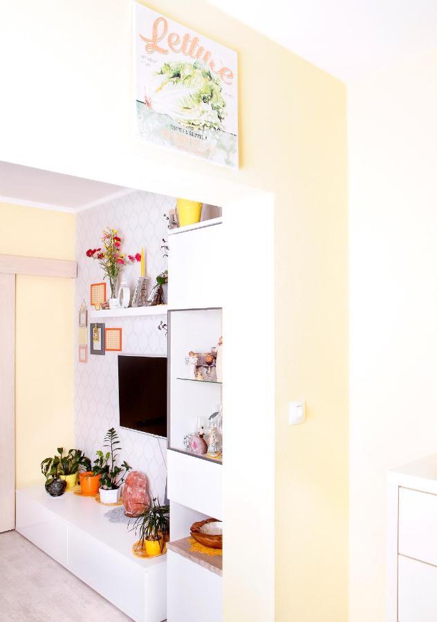 2-Izbovy Apartman Mlynica S Balkonom מראה חיצוני תמונה