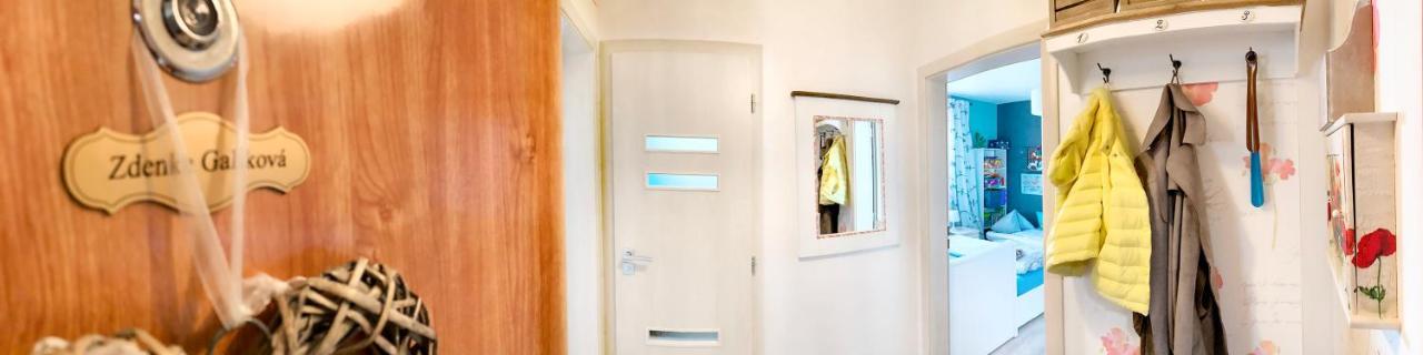 2-Izbovy Apartman Mlynica S Balkonom מראה חיצוני תמונה