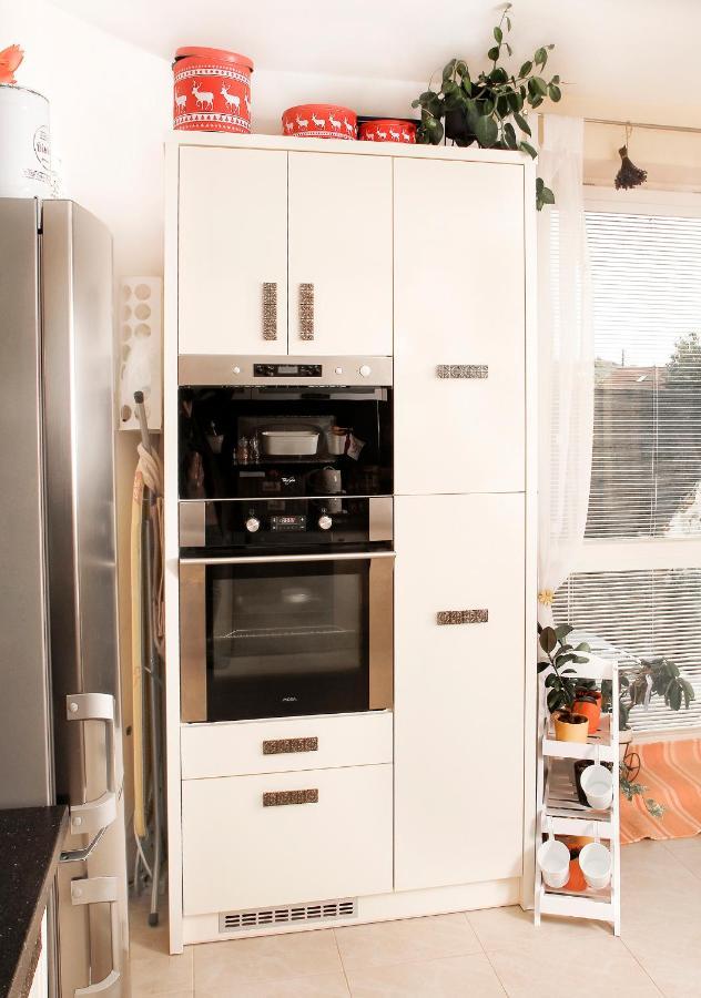 2-Izbovy Apartman Mlynica S Balkonom מראה חיצוני תמונה